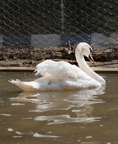  مزارع گروه پژوهشی حیات وحش