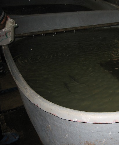 آزمايشگاه شماره (4)